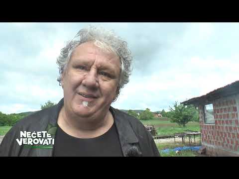 NEĆETE VEROVATI - Betula