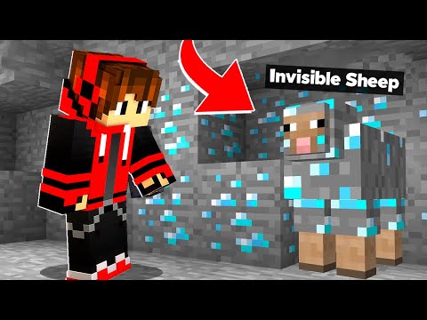 EpicDipic - Find The SHEEP Challenge In Minecraft !!!