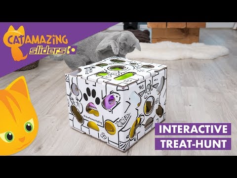 Cat Amazing SLIDERS – Interactive Treat-hunt Puzzle Toy for Cats