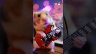 【AI】ハムスターロックフェス！ # #cute #hamster #aiart