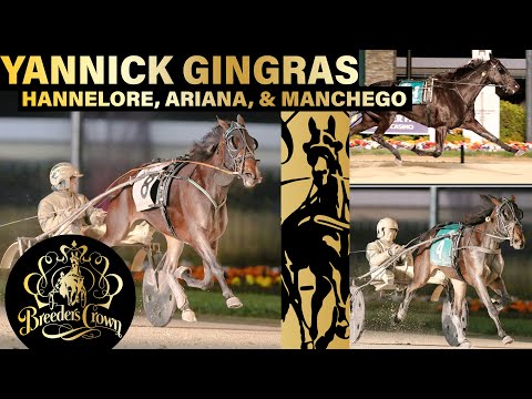 Yannick Gingras - Hannelore, Ariana, and Manchego