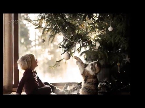 Elena shumilova best photos-part2|1080HD|