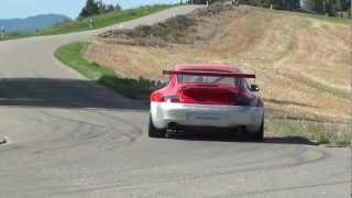 preview picture of video 'Bergrennen Reh auf der Streke in Oberhallau 2012 Bergrally Hillclimb Mountain- Race'