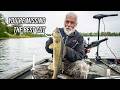 The Griz Explains How to Fillet Walleye (and Actually Get All the Meat)