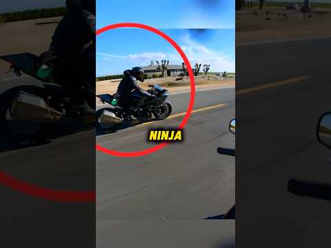 Motorcycle Crash Turns Into A Heartwarming Moment! 🥹