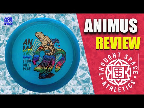 ARP | Thought Space Athletics Animus Review | Should you ...