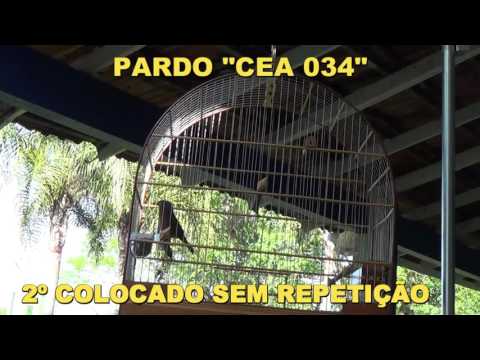PARDO CEA 034 2º SEM REPETIÇÃO