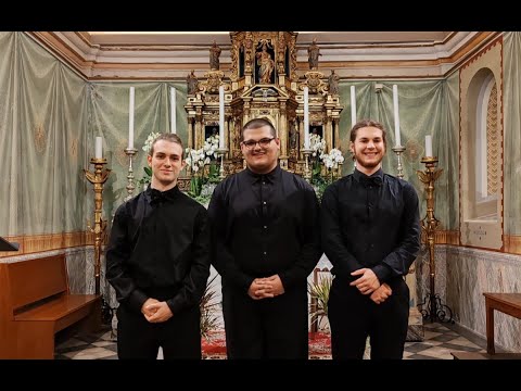 Tonic Trio, concerto per la festa di San Rocco - 18 agosto 2024