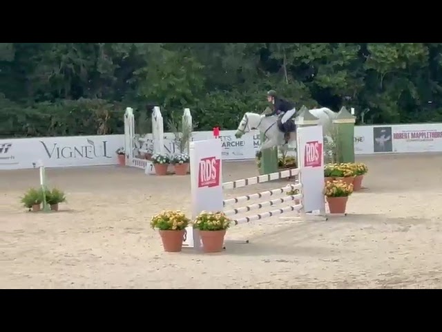 Pony Schoolmaster 