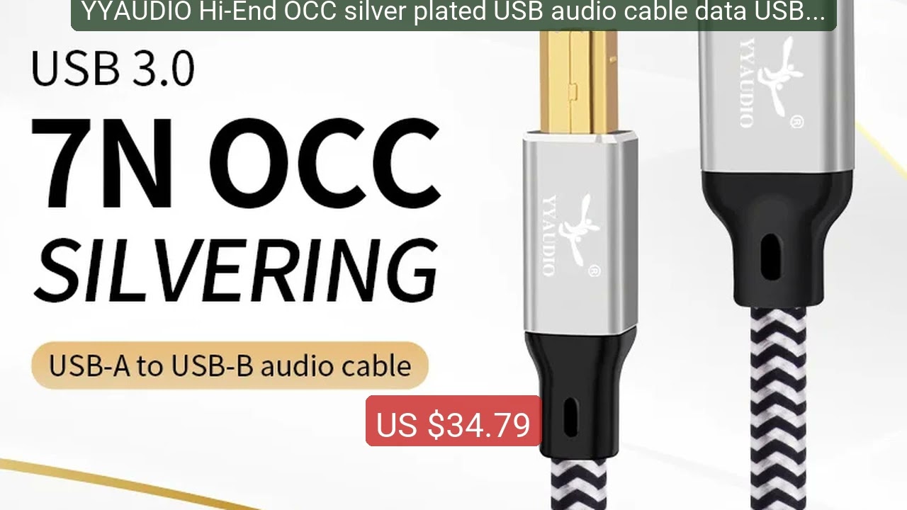 YYAUDIO Hi-End OCC silver plated USB audio cable data USB cabl... — Hot Deal 2026 | Limited Offer!