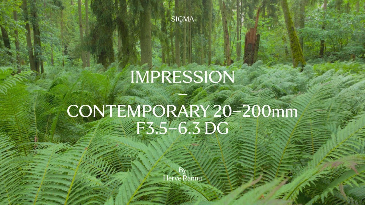 Sigma 20-200mm f/3.5-6.3 DG Contemporary for Sony FE