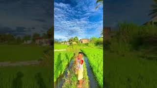 Download lagu story WA di pagi hari di sawah mp3 Download lagu story WA di pagi hari di sawah mp3