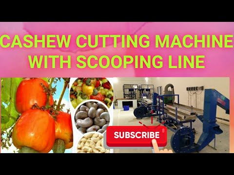 Fully Automatic Cashew Shelling Machine