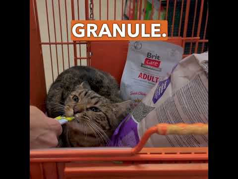 Náhled pro video reference