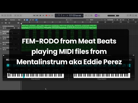 FEM RODO +++ Mentalinstrum