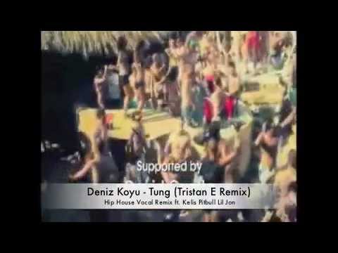 Deniz Koyu - Tung (Tristan E. Hip House Vocal Remix ft. Kelis Pitbull Lil Jon)