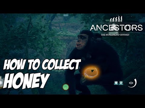 How to Collect Honey From A Beehive - Ancestors the Humankind Odyssey Gameplay Walkthrough