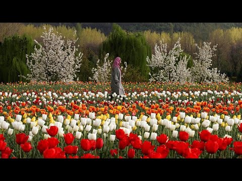 شاهد حديقة إنديرا غاندي تفتح أبوابها للزوار مع بداية الربيع في الهند…