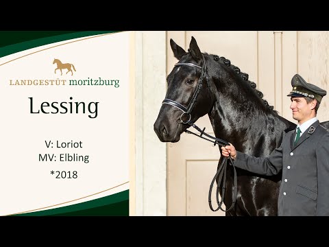 LESSING v. Loriot - Elbling