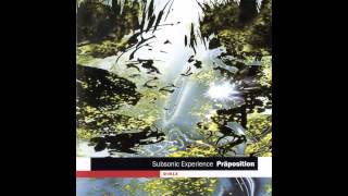 Subsonic Experience ‎– The Regained Paradise (2003)