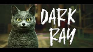 Watch and explore about DarkRay PC Steam CD Key