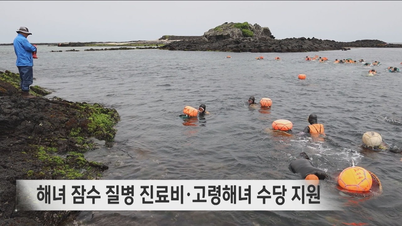 해녀 잠수 질병 진료비·고령해녀 수당 지원