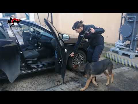 Palermo, indagine "Pandora": colpo allo spaccio di Partanna, Borgo Nuovo e San Giovanni Apostolo
