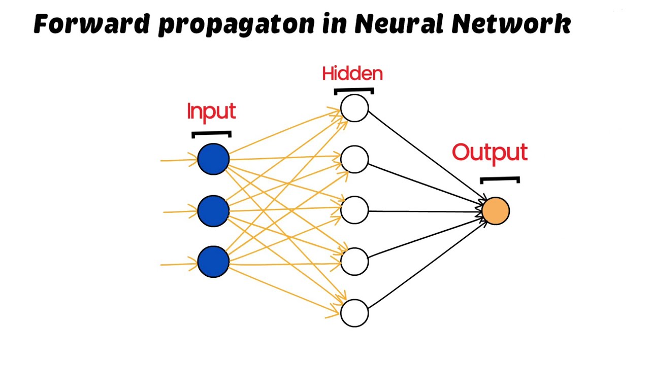 Forward Propagation in Neural Networks | Deep Learning