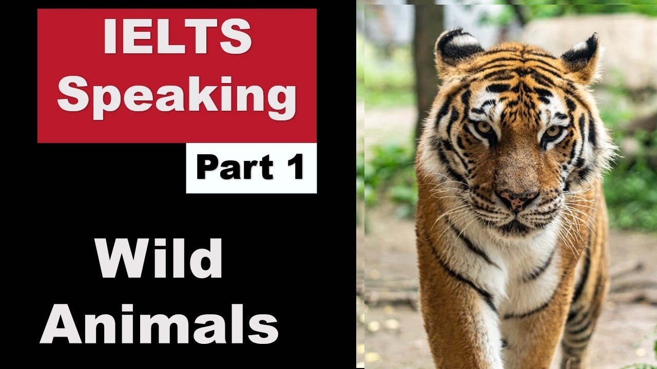 𝐖𝐈𝐋𝐃 𝐀𝐍𝐈𝐌𝐀𝐋𝐒 | 𝐈𝐄𝐋𝐓𝐒 𝐒𝐩𝐞𝐚𝐤𝐢𝐧𝐠 𝐚𝐧𝐬𝐰𝐞𝐫𝐬 & 𝐯𝐨𝐜𝐚𝐛𝐮𝐥𝐚𝐫𝐲