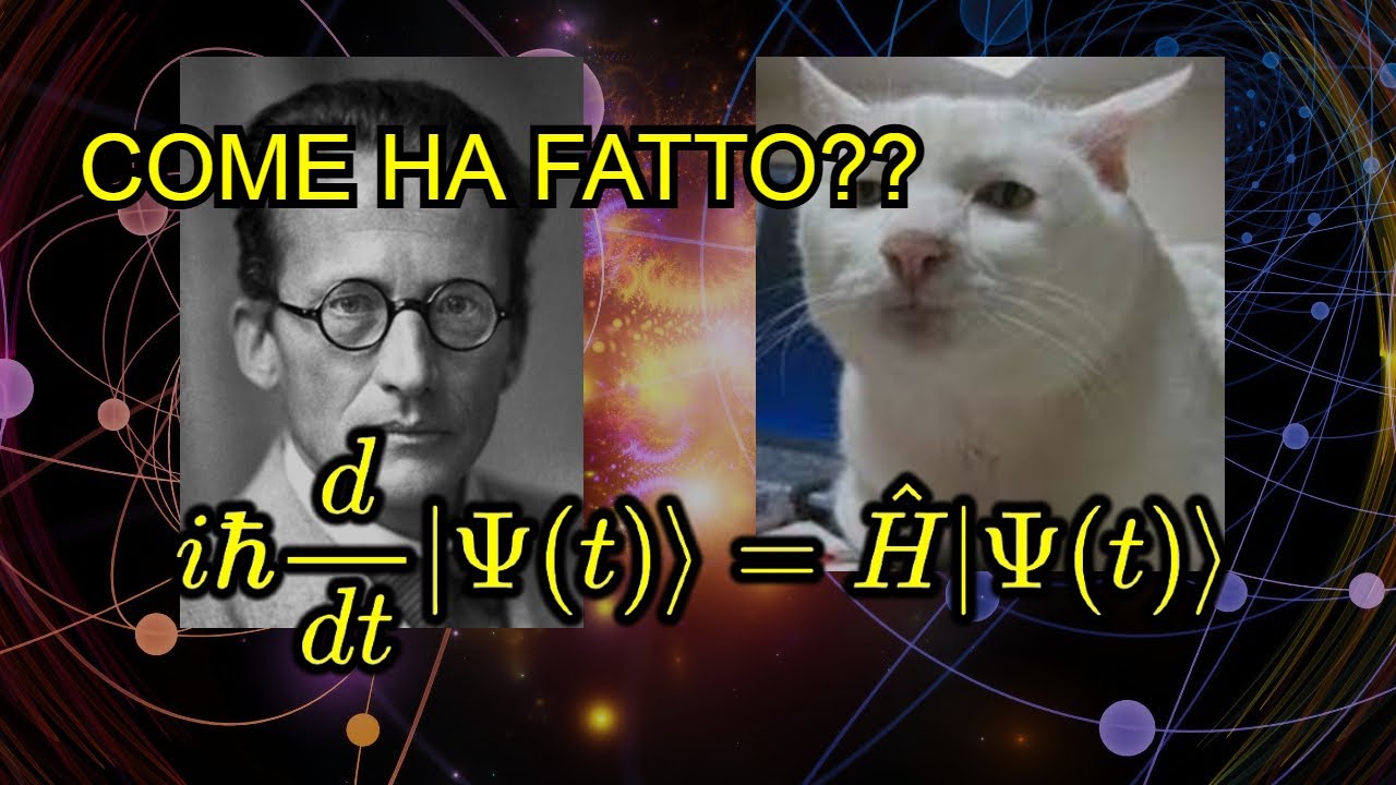 How did Schrödinger come up with the equation that changed the world?