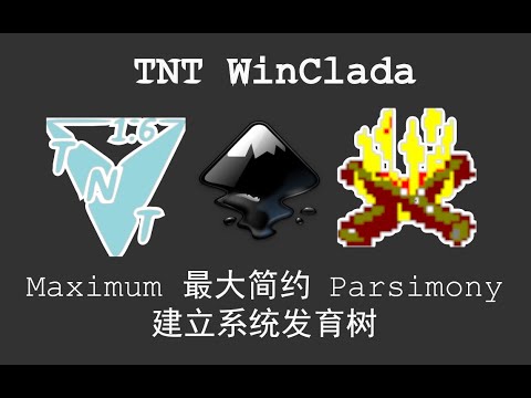 TNT script for maximum parsimony, also cooperated with character mapping via WinClada