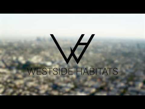 4432 Coldwater Canyon - Video 7 of 7