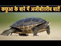 कछुए के बारे में 22 रोचक तथ्य || Interesting facts about Turtles in Hindi