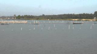 preview picture of video 'Inde 2012 : Satapada - Chilika lake'