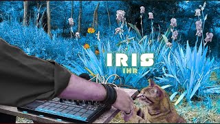 Evening Impro | Breakbeat Dark Techno | ES2 + S-1 | Outdoor #dawlessjam