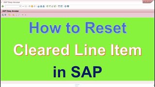 How to Reset Cleared Items in SAP