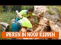 Meerijden op de dierenambulance!! | DierenpraatTV