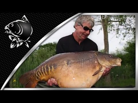 KEVIN NASH THE FINAL ACCOUNT DVD TRAILER 2 - RECORD 50LB ENGLISH CARP BRACE - NASH TACKLE