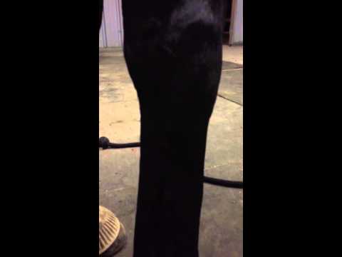 Nuance - conformation