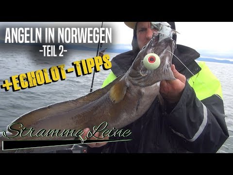 FISHING in NORWAY - Fishing for cod, ling, tusk, and more + a big DRAMA (Part 2 in 2019)