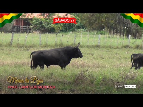 MARIA LA BAJA 2025 TOROS Ganaderia la Juliana de los Hermanos Cumplido Mendoza