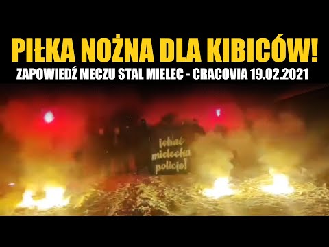 PIŁKA NOŻNA DLA KIBICÓW! Zapowiedź meczu Stal Mielec - Cracovia 19.02.2021