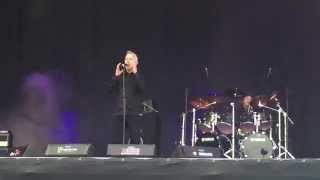 Falconer  Locust Swarm  Wacken Open Air 2015