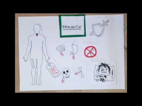 Come eliminare vermi a piccoli bambini Targhe da helminths per donne incinte