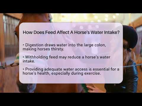 How Does Feed Affect A Horse's Water Intake? - The Horses Stable