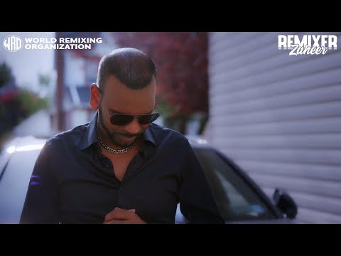 Harish Soogdeo X Remixer Zaheer - She Have A Problem [Official Music Video] (2025 Chutney Remix)