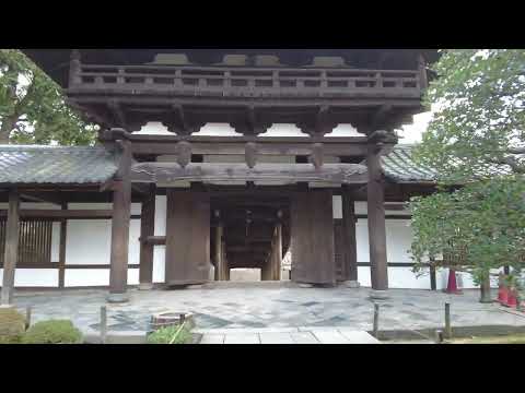 【4K】From Tofukuji Station to Tofuku-ji temple in Kyoto