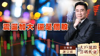 震盪加大 還是個股｜大戶羅盤籌碼動能 ｜謝宗霖 (圖)
