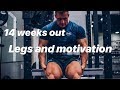 LEGS & MOTIVATION | 14 WEEKS OUT