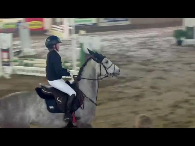 Jumping practice round Tamino BH (Tangelo v/d Zuuthoeve x Crown Z).